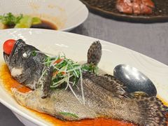 清蒸龙趸鱼-檀億(北外滩中美店)