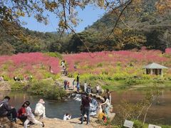-广州市石门国家森林公园