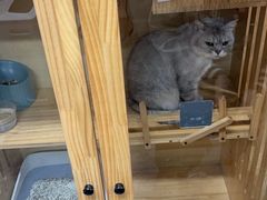 -艺味深尝(云锦路店)