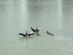 -西安浐灞国家湿地公园