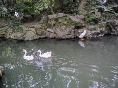 -兰亭风景区