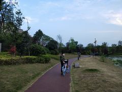 -两河城市森林公园
