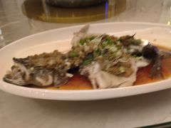 -东海朗廷酒店-唐阁T’ANG COURT 中餐厅