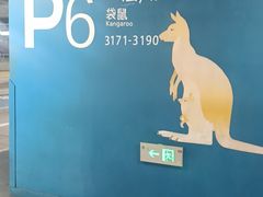 -虹桥综合交通枢纽-P6停车库