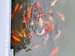 -上海方塔园-何陋轩