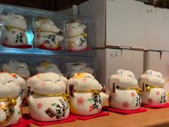 -猫咪博物馆(顶澳仔猫街店)