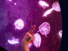 -正佳自然科学博物馆