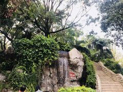 -九龙公园