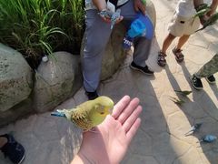 -北戴河集发农业梦想王国