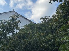 -宁波市保国寺古建筑博物馆