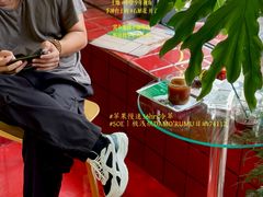 -中山市树木园