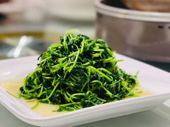 -天福苑(崇宁路店)