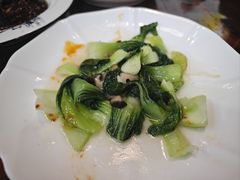 -老品芳