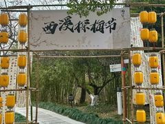 -西溪国家湿地公园