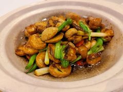 小炒鲜口蘑-眉州东坡(通州店)