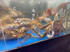 -蟹之国·精品蟹料理(极地店)