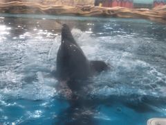 -波塞冬旅游度假区