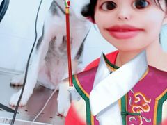 -畜牧兽医站(共江路店)