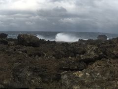 -龙坑生态保护区
