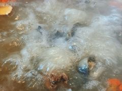 -光头药膳鸡(莱茵小镇店)