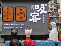 -猫咪博物馆(顶澳仔猫街店)