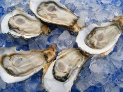 -生蚝扇贝王(郑州店)