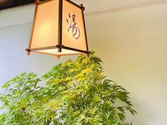 -汤宴·参须肚包鸡(南京路店)