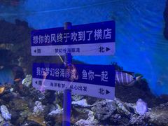 -横店影视城梦幻谷园区