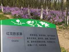 -白塘生态植物园