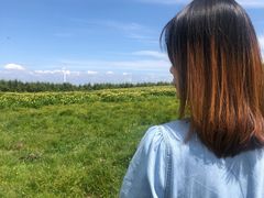 -红崖峡谷景区