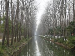 -合肥滨湖国家森林公园