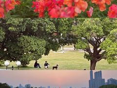 -海心沙亚运公园