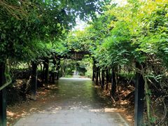 -九龙潭景区