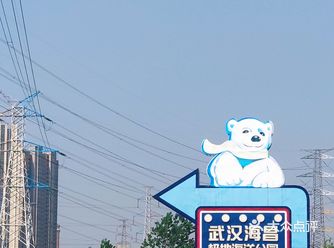 五一游玩‖武汉海昌极地海洋公园
