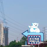 五一游玩‖武汉海昌极地海洋公园