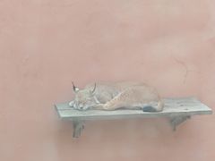 -青藏高原野生动物园