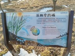 -绿堤公园