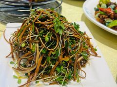 -新侨小馆(东直门北小街店)