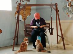 -豆逗聊愈猫阁Easy Life