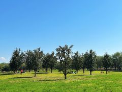 -汉长安城未央宫国家考古遗址公园