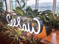 -Seesaw Coffee(朝阳大悦城店)