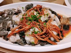 古法蒸龙趸鱼-富丽华大酒店·御园中餐厅(茶亭路店)