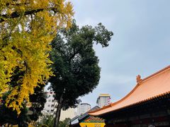 -宝通禅寺