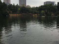 -晓港公园