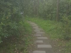 -吴淞炮台湾湿地森林公园烧烤区