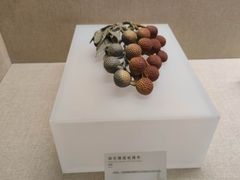 -广东省博物馆