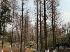 -习家池