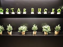 -星巴克(哈尔滨新一百店)
