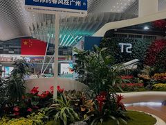 -广州白云国际机场-T2航站楼