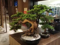 大堂-湊湊火锅·茶憩(世博大道店)